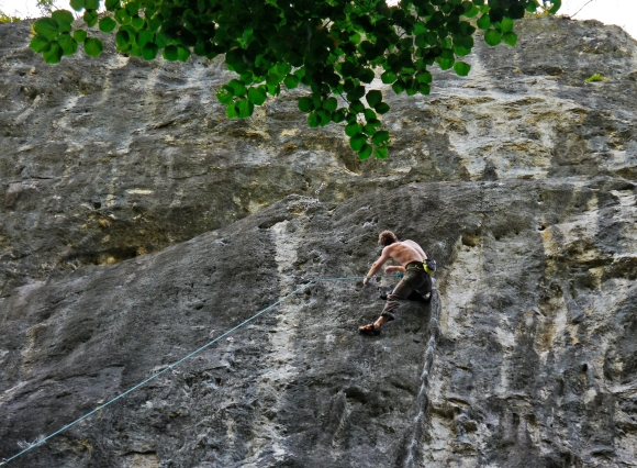 Robbie on the Ring 8B